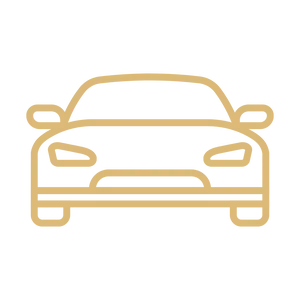 Car of four icon