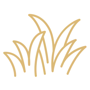 Lawn icon